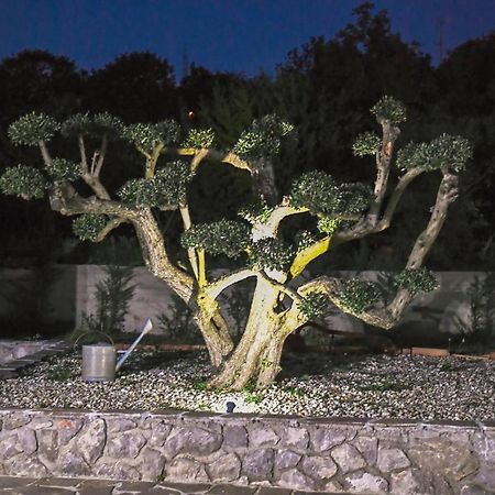 *****Pool House With Beautiful Seaview,Big Garden And Old Tavern***** 里耶卡 外观 照片