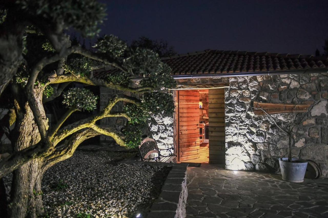*****Pool House With Beautiful Seaview,Big Garden And Old Tavern***** 里耶卡 外观 照片